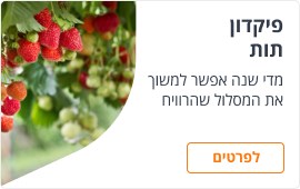 פיקדון תות