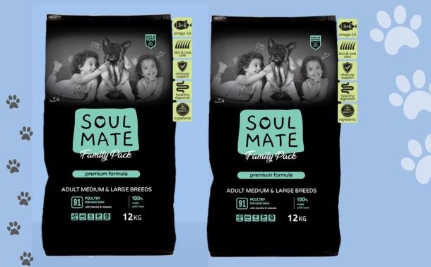 Soulmate610x378