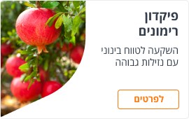 פיקדונות רימונים