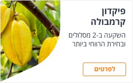 פיקדון קרמבולה