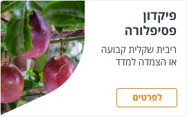 פיקדון פסיפלורה